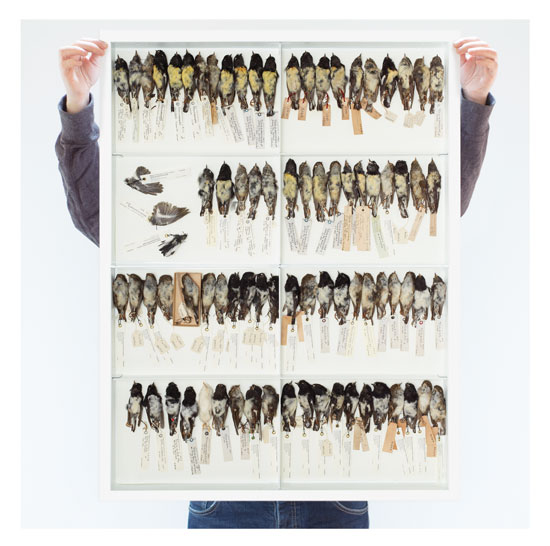 DEAD SET MIRO MIRO POSTER